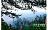 【純玩獨(dú)立成團(tuán)線路1】張家界、袁家界、天子山、寶峰湖/黃龍洞二晚三日
