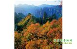 長(zhǎng)沙往返張家界、天子山、寶峰湖/黃龍洞三日游
