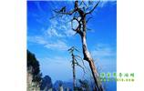 湘西之旅：張家界、天子山、寶峰湖/黃龍洞、鳳凰古城、猛洞河漂流、天門山六日游