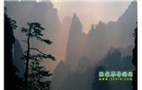 張家界國(guó)家森林公園、寶峰湖/黃龍洞、鳳凰古城、三峽八日游