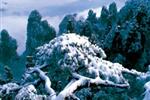 【純玩拼團線路18】下午班：鳳凰古城、張家界、天子山三晚四日游