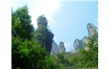 【純玩拼團(tuán)線路 張家界出發(fā)A2線】張家界、袁家界、天子山、金鞭溪、鳳凰古城2晚3日游